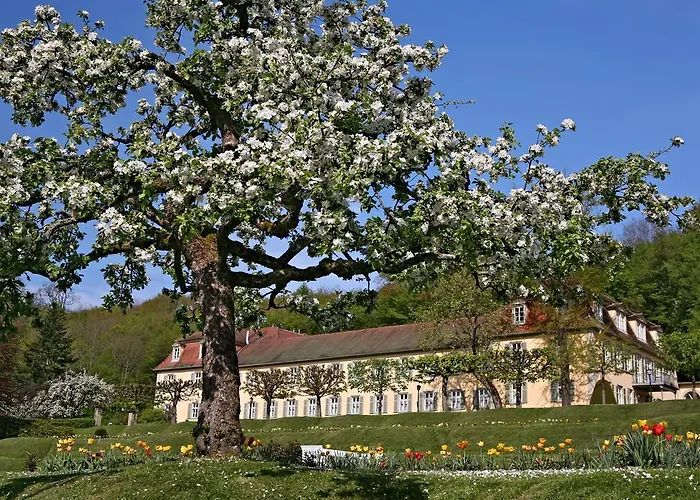 Badhotel Bad Brueckenau 3*