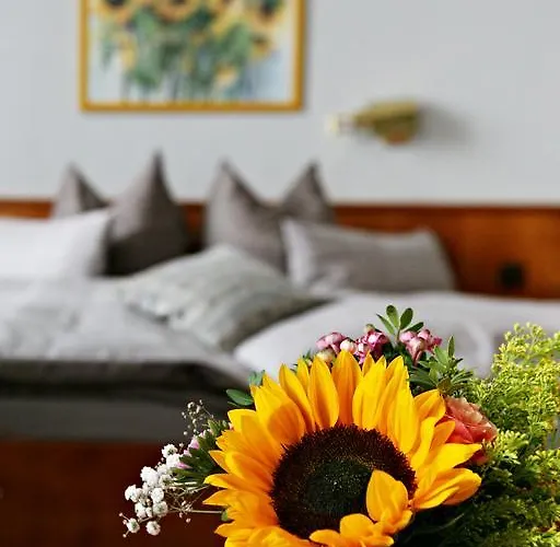 Badhotel Bad Brueckenau Hotel Staatsbad Brückenau